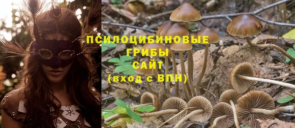 прущая мука Заводоуковск