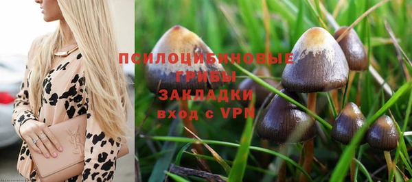 экстази Рославль
