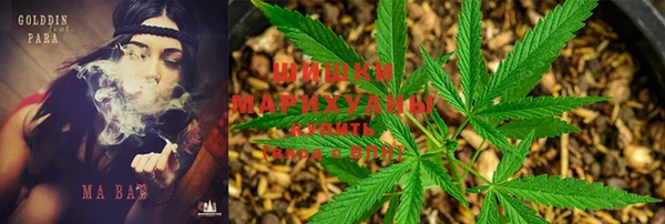 прущая мука Заволжск