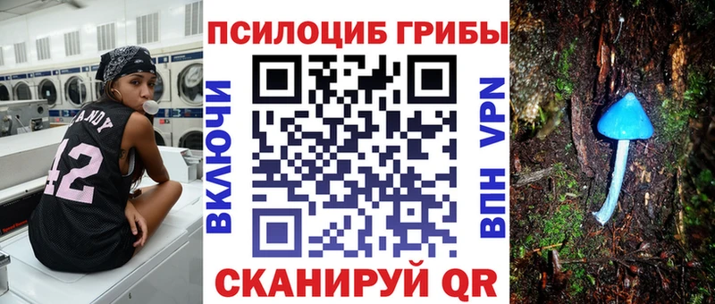 ОМГ ОМГ онион  Себеж  Галлюциногенные грибы Psilocybine cubensis 